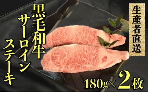 【生産者直送】黒毛和牛赤身サーロインステーキ　2枚セット（国産 牛肉 国産牛 和牛 黒毛和牛 赤身 サーロイン ステーキ 焼肉）