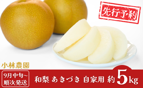 先行予約 和梨 あきづき 自家用 約5kg [9月中旬から発送予定] 令和7年度 新潟県 三条市産 梨 [小林農園]【010P073】