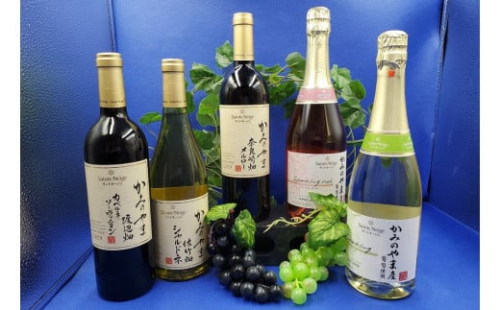 【定期便：全５回】サントネージュかみのやまプレミアムワイン　0141-2421