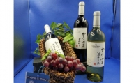 【定期便：全３回】サントネージュかみのやま産葡萄ワインとワインバスケット　0141-2422