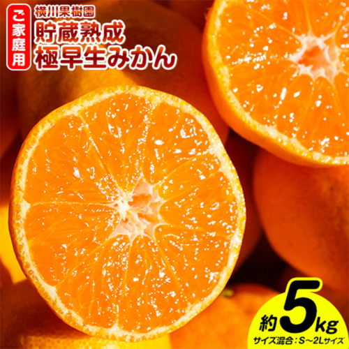 貯蔵熟成 極早生みかん(日南1号) 約5kg S～2L 家庭用 サイズ混合 横川果樹園 《9月下旬-10月下旬発送》 和歌山県 日高川町 みかん 完熟 柑橘 フルーツ 極早生 送料無料 921466 - 和歌山県日高川町