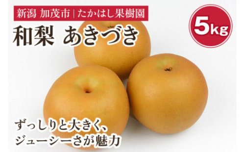 【2025年先行予約】たかはし果樹園 謹製 新潟県産和梨 あきづき 約5kg《9月中旬以降配送》 果物 フルーツギフト 秋の味覚 産地直送 加茂市 たかはし果樹園