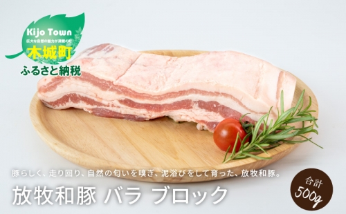 ≪放牧和豚≫ 豚バラ500gブロック K26_0005
