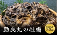 勤成丸の牡蠣 殻付き牡蠣 3.0kg【2024年12月以降出荷予定】