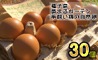 種子島 平飼い 産み立て たまご 夢まるガーデン 鶏卵 ×30個　NFN500【300pt】