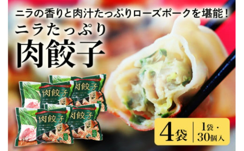 【数量限定】 ニラたっぷり肉餃子 4袋 肉餃子30個×4袋 120個 ニラ ぎょうざ ギョウザ 餃子 ニラ にら ローズポーク 豚肉 小美玉産 茨城県産 名産 冷凍 17-AB