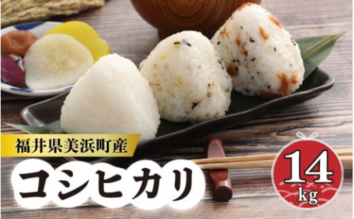 米 令和5年産  長谷川農園の コシヒカリ（白米）計14kg（7kg × 2袋）  [m22-b001]