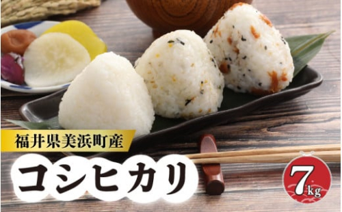 米 令和5年産 長谷川農園の コシヒカリ（白米） 7kg × 1袋 [m22-a001]