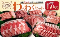 ≪3か月お楽しみ定期便≫きなこ豚4種類わくわくセット(総重量7kg)　肉　豚　豚肉　国産　宮崎県産 GG6-23
