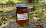 純粋日本蜂蜜（紀南の蜂蜜）　600g  / 田辺市 はちみつ ハチミツ 蜂蜜  無添加 国産 山蜜