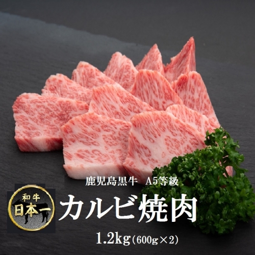 鹿児島黒牛 A5等級 カルビ焼肉　1.2kg 925264 - 鹿児島県肝付町