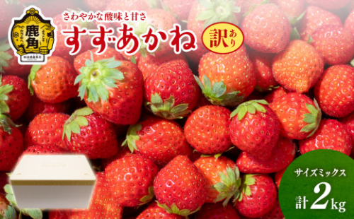 《 先行予約 》【訳あり】鹿角産 いちご「すずあかね」約2kg サイズMIX ●2025年7月上旬発送開始 【神田農園】 おすそ分け 県産いちご 国産いちご いちご 苺 イチゴ お中元 お歳暮 母の日 父の日 贈り物 贈答用 ホワイトデー ケーキ バースデー グルメ 故郷 秋田 あきた 鹿角市 鹿角 送料無料 