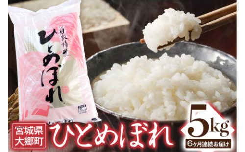 [定期便／6ヶ月連続] 令和6年産 ひとめぼれ 5kg｜2024年 宮城産 大郷町 白米 米 コメ 精米 定期便 [0202] 925469 - 宮城県大郷町