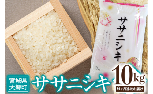 [定期便／6ヶ月連続] 令和6年産 ササニシキ 10kg｜2024年 宮城産 大郷町 白米 米 コメ 精米 定期便 [0211] 925475 - 宮城県大郷町