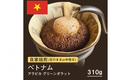 自家焙煎コーヒー！310g ベトナム アラビカ グリーンダラット 珈琲