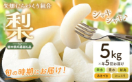 梨 定期便 5kg 計5回 矢畑むらづくり組合《7月下旬-10月中旬頃出荷》栃木県 野木町 お楽しみ フルーツ 先行予約　食べ比べ 幸水梨 豊水梨 にっこり梨 新高梨 あきづき 栃木産 果物【栃木県共通返礼品　栃木県産】【配送不可地域あり】(離島)
