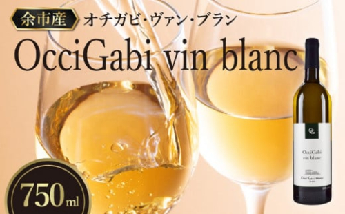 【OcciGabi Winery】オチガビ・ヴァン・ブラン　【余市のワイン】 余市 北海道 白ワイン ミュラートゥルガウ ケルナー シャルドネ ワイン 余市のワイン 北海道のワイン 日本のワイン 国産ワイン おすすめワイン