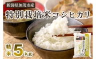 【令和5年産米】新潟県加茂市産 特別栽培米コシヒカリ 精米5kg 白米 従来品種コシヒカリ 加茂有機米生産組合