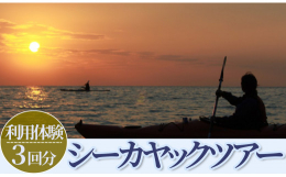 シーカヤックを使い伊豆半島（南伊豆）を中心としたツアーを3回分体験できます。カヤックでしかいけない場所や、風景。美しい伊豆の南伊豆の海で思いっきり遊んでください。ツアーの中にはカヤックだけでなくシュノ