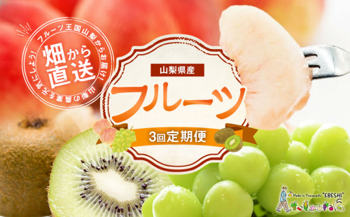 【先行受付】【3回 定期便 】山梨県産 フルーツ 『 桃 2kg & シャインマスカット 1.8kg & キウイフルーツ 1.5kg』 [ えべし 山梨県 中央市 21470867] 果物 くだもの もも マスカット キウイ 【2026年6月下旬-2027年1月下旬発送予定】 926288 - 山梨県中央市