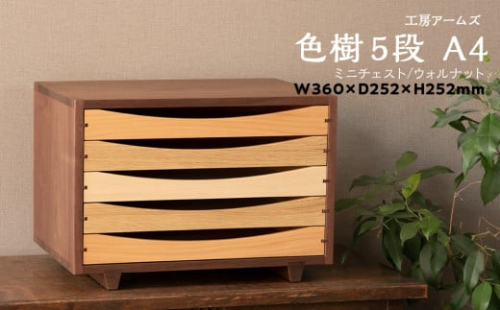 チェスト 5段 木製 レターケース A4 ウォルナット ■ 工房 アームズ ■