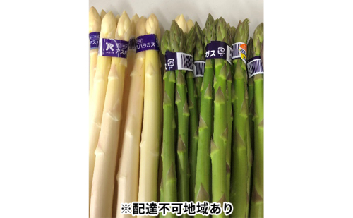 アスパラガス詰合せ 1kg | au PAY ふるさと納税