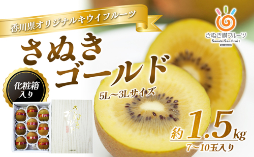 さぬき ゴールドキウイ 5L～3Lサイズ 7～10玉 1.5kg 化粧箱 ゴールデンキウイ キウイフルーツ キウイ フルーツ 果物 くだもの 果実 旬の果物 旬のフルーツ 香川 香川県 東かがわ市 92744 - 香川県東かがわ市
