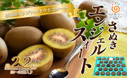 さぬき エンジェルスイート2.2kg キウイフルーツ キウイ フルーツ 果物 くだもの 果実 旬の果物 旬のフルーツ 香川 香川県 東かがわ市 92751 - 香川県東かがわ市