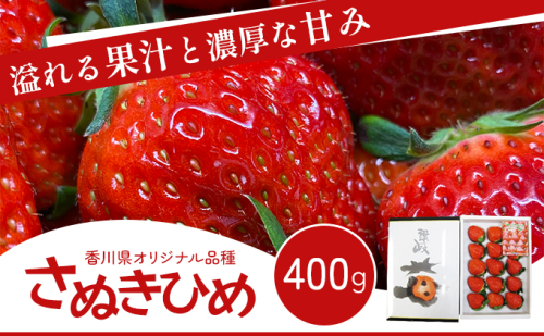 いちご 香川県オリジナル品種 さぬきひめ 400g 香川県産 化粧箱 年内受付 苺 イチゴ フルーツ 果物 くだもの 旬のフルーツ 旬の果物 大粒 採れたて 冷蔵 香川 香川県 東かがわ市 92754 - 香川県東かがわ市