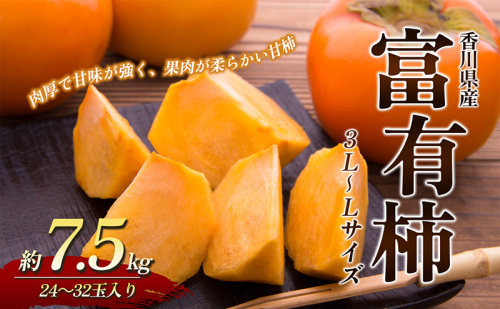 富有柿 約7.5kg 92760 - 香川県東かがわ市