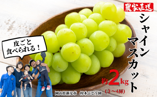 村本ぶどう園 シャインマスカット 約2kg 3～4房 【先行予約 2025年10月上旬から順次発送】
