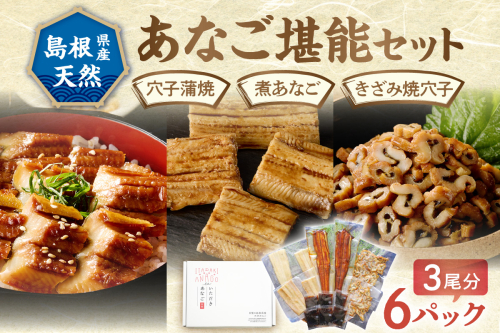 浜田のあなご堪能セット 時短 穴子 魚介類 魚貝類 海の幸 蒲焼 簡単調理 レンジでチン 湯煎 小分け セット 詰め合わせ 【156_2011】 927741 - 島根県浜田市