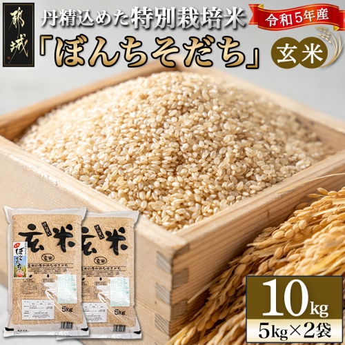 【玄米】特別栽培米ぼんちそだち10kg_MJ-2209 927748 - 宮崎県都城市