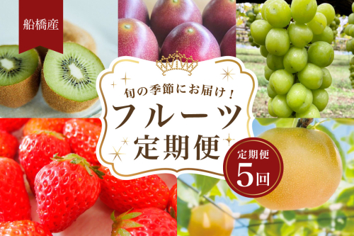 【期間限定11月以降順次発送】船橋産フルーツ定期便（5品目）　梨　新興　パッションフルーツ　シャインマスカット　キウイ　イチゴ 927757 - 千葉県船橋市