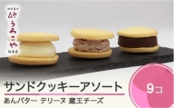 お菓子 スイーツ 洋菓子 サンドクッキーアソート 3種 ( あんバター 、 テリーヌ 、 蔵王チーズ  各1個入)×3箱 計9個 us-swscs9