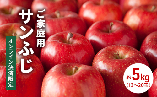 ご家庭用サンふじ 約5kg（13～20玉）2024年11月下旬より発送※オンライン決済限定 9278 - 長野県長野市