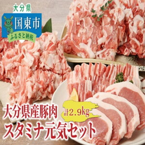 大分県豚肉スタミナ元気セット2.9kg_1829R 928021 - 大分県国東市