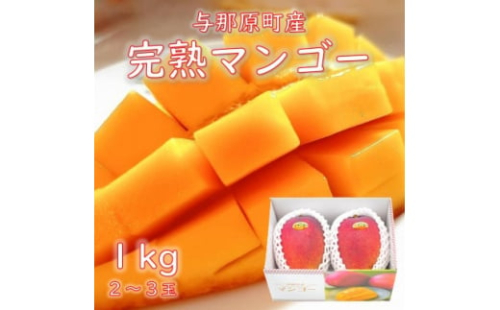 与那原町産の完熟マンゴー1kg(2～3玉)【1408915】