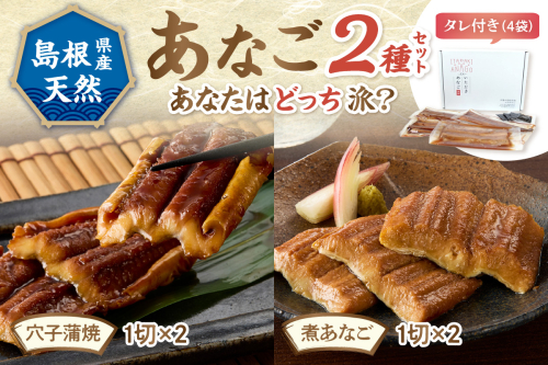 あなご2種（蒲焼あなご・煮あなご）セット 魚介類 魚 穴子 蒲焼き 煮穴子 セット 食べ比べ 【156_2012】 928113 - 島根県浜田市