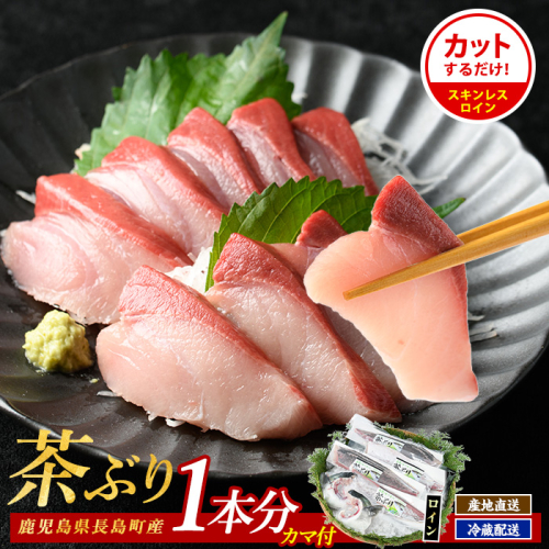 ブリカマ付！茶ぶり スキンレスロイン(1尾分・4分の1カット済)【ウスイ】usui-7324 928120 - 鹿児島県長島町