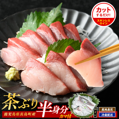 ブリカマ付！茶ぶり スキンレスロイン(片身分・2分の1カット済) 鮮魚 下処理済み ぶり 柵 刺身 ブリ 切り身 鰤 ぶりかま  【ウスイ】usui-7319 928121 - 鹿児島県長島町