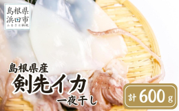 山陰名物ケンサキイカ（地方呼び名：白いか・マイカ）の一夜干しセットです。 イカの中でも高級品と称され、甘さのあるやわらかな身は、老若男女問わずお子様からお年寄りまでファンの多いイカです。 国産の天然塩