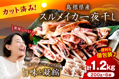 島根県産スルメイカ一夜干しカット済 計1.2kg（小分け200gｘ6袋） いか スルメ 一夜干し 1.2キロ カット済 おつまみ 小分け 個別包装 少量 贈答 ギフト 贈り物 【005_0118】 928164 - 島根県浜田市