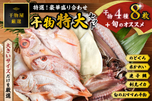 特選!!豪華盛り合わせ♪干物特大セット 魚介類 魚貝類 干物 干もの セット 干物セット のどぐろ ノドグロ カレイ かれい 蓮子鯛 イカ いか【033_1778】 928177 - 島根県浜田市