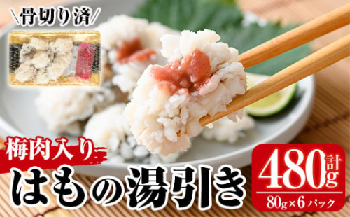鱧の湯引き 梅肉入り(計480g・80g×6P)はも ハモ 骨切り 海鮮 おつまみ 国産 小分け 冷凍 魚介 宮崎県産【MR-3】【マルユウ水産】