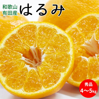 U6248n_【先行予約】はるみ 秀品 約4~5kg 和歌山県有田産 928264 - 和歌山県湯浅町