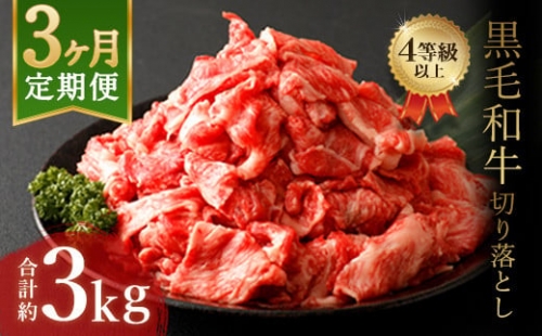 【9月30日受付終了】【3ヶ月定期便】九州産 黒毛和牛切り落とし 約1kg×3回 合計約3kg 牛肉 和牛 小分け 928274 - 熊本県益城町