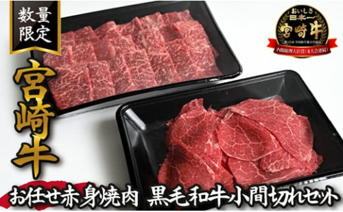 【特別提供品】宮崎牛お任せ赤身焼肉と黒毛和牛小間切れセット 計800g（宮崎牛 黒毛和牛 ブランド牛 牛肉 焼肉用 小間切れ 内閣総理大臣賞）