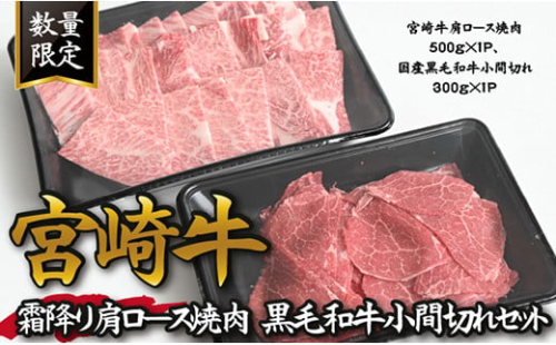 【特別提供品】宮崎牛霜降り肩ロース焼肉と黒毛和牛小間切れセット 計800g（牛肉 宮崎牛 黒毛和牛 焼肉用 小間切れ 内閣総理大臣賞）