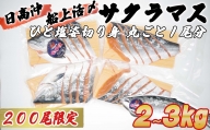 ＜3月31日までの受付＞ 北海道産 サクラマス ひと塩 姿切り身 2kg ～ 3kg まるごと 1尾 期間限定